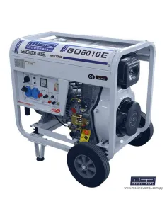 GENERADOR DIESEL 8,1 KVA MON.220V