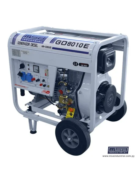 GENERADOR DIESEL 8,1 KVA MON.220V