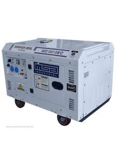 GENERADOR DIESEL 10KVA MONOF. 220V P.E.