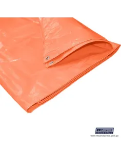 CARPA LONITA ECONÓMICA 2