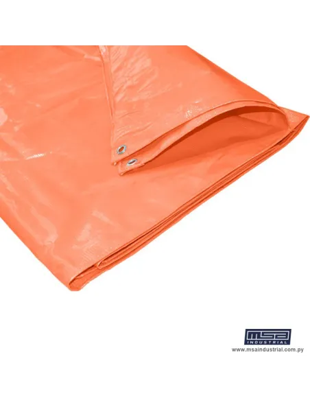 CARPA LONITA ECONÓMICA