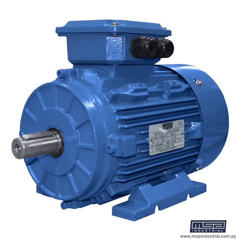 MOTOR TRIFASICO 4HP 4P 220/380V 50/60HZ