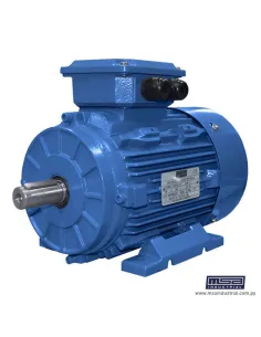 MOTOR TRIFASICO 2HP 2P 220/380V 50/60HZ