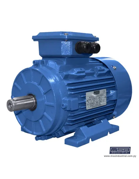 MOTOR TRIFASICO 10HP 2P 220/380V 60HZ
